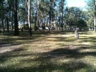 Canungra Hotel Eksteriør billede